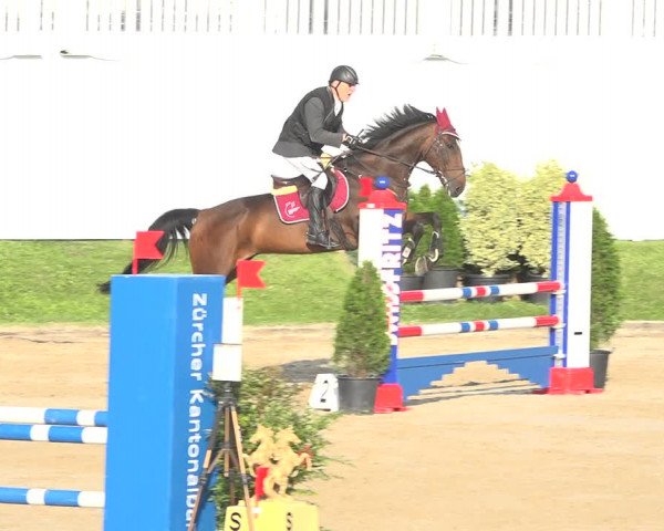 Reitturnier Humlikon 2019