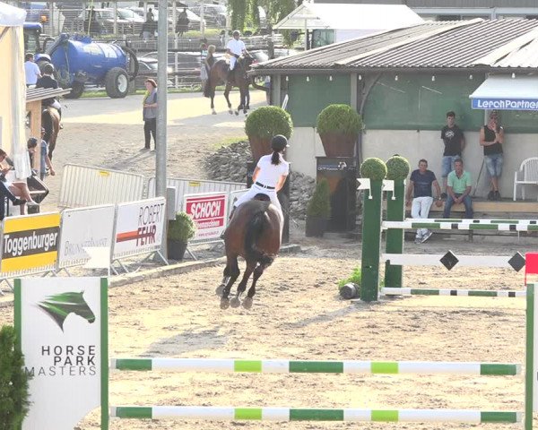 Reitturnier Humlikon 2019