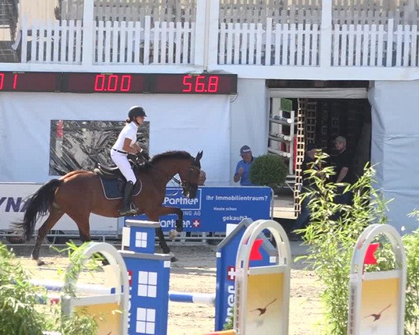 Reitturnier Humlikon 2019