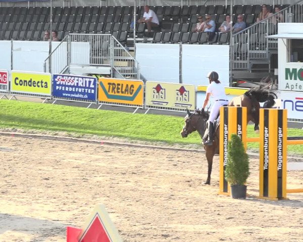 Reitturnier Humlikon 2019
