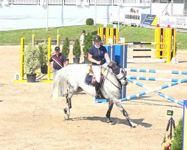 Reitturnier Humlikon 2019