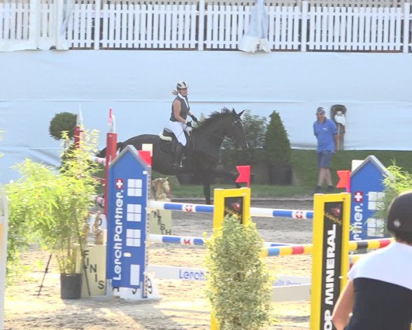 Reitturnier Humlikon 2019
