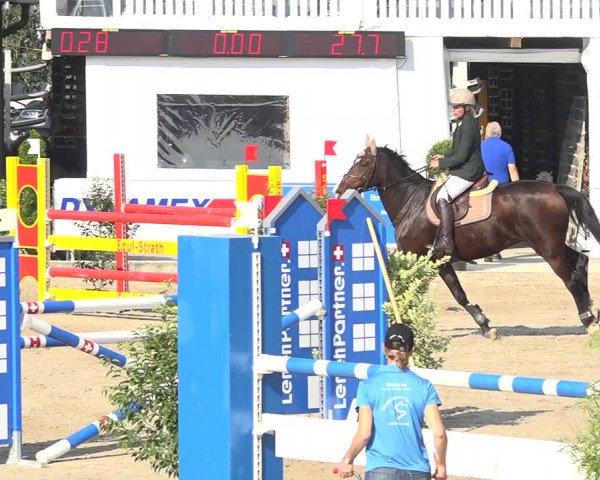 Reitturnier Humlikon 2019