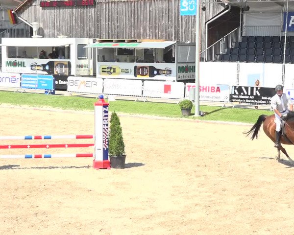 Reitturnier Humlikon 2019