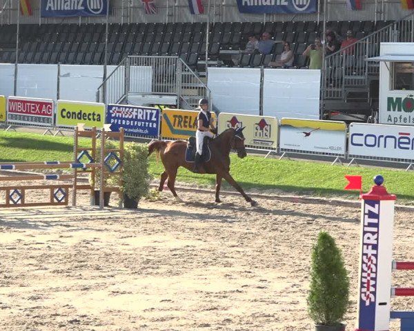 Reitturnier Humlikon 2019