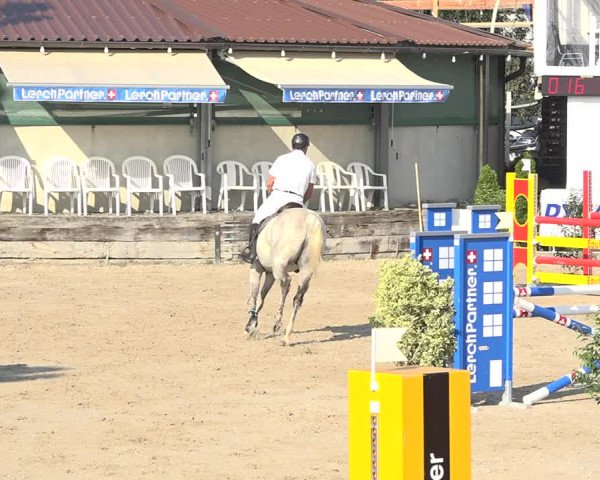 Reitturnier Humlikon 2019