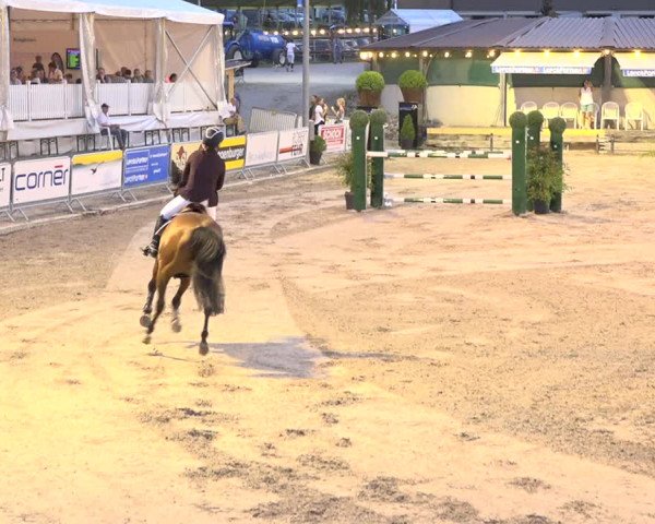 Reitturnier Humlikon 2019