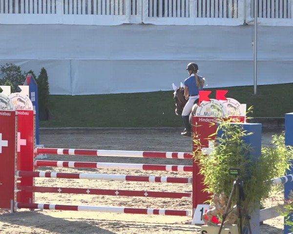 Reitturnier Humlikon 2019