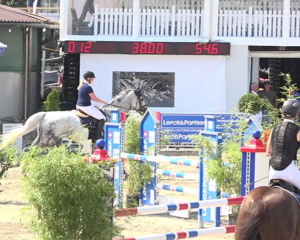 Reitturnier Humlikon 2019