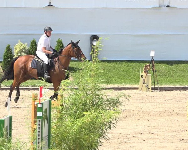 Reitturnier Humlikon 2019