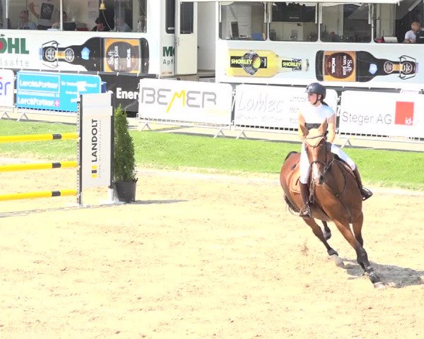 Reitturnier Humlikon 2019