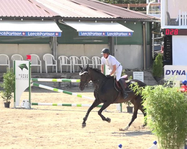 Reitturnier Humlikon 2019