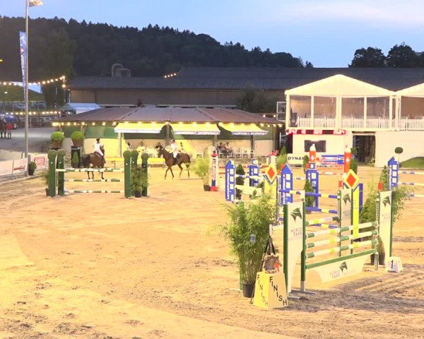 Reitturnier Humlikon 2019