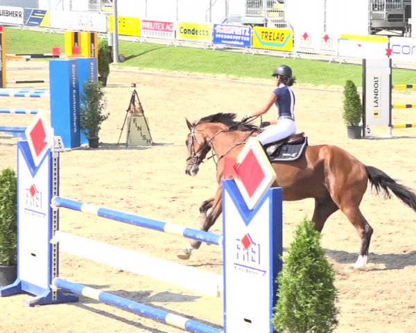 Reitturnier Humlikon 2019