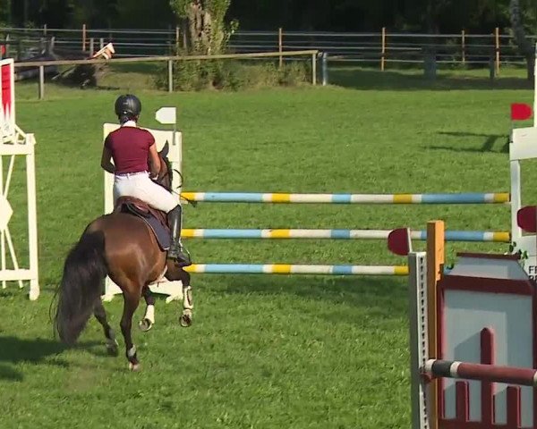 Landesponyturnier Ansbach 2019
