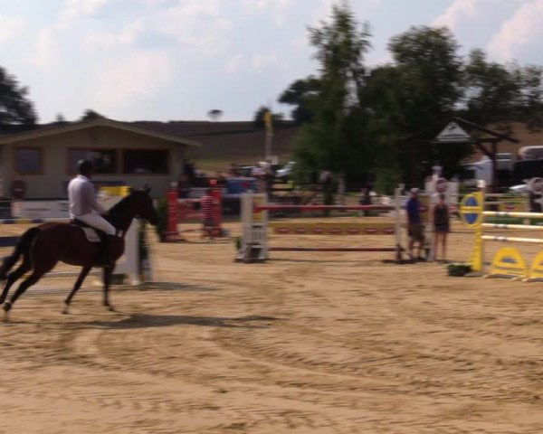 Reitturnier Duderstadt 2019