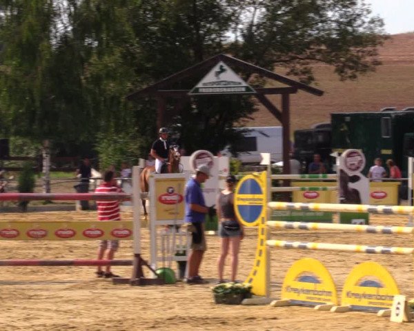 Reitturnier Duderstadt 2019