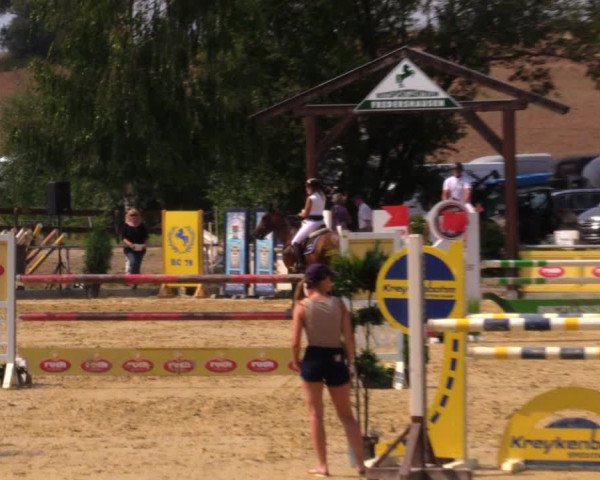 Reitturnier Duderstadt 2019