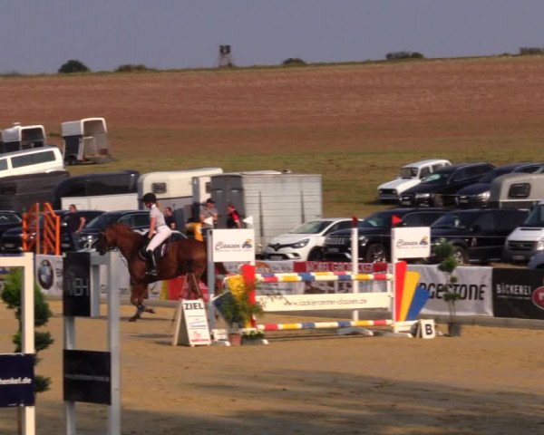 Reitturnier Duderstadt 2019