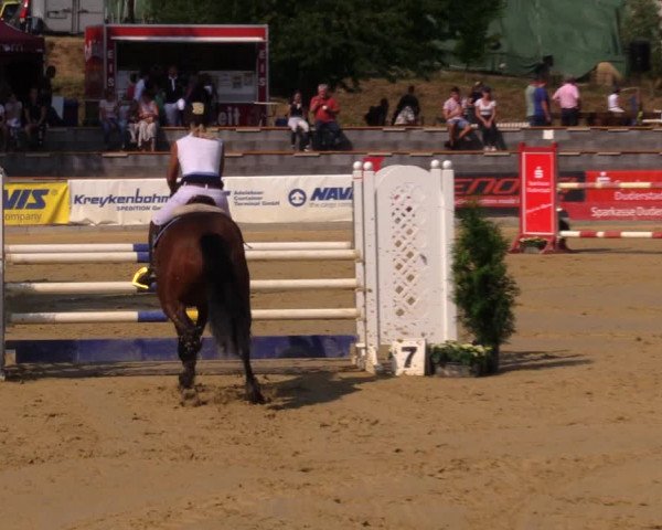 Reitturnier Duderstadt 2019