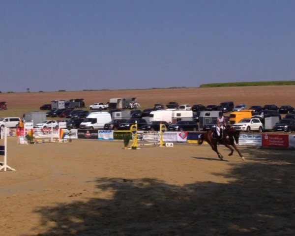 Reitturnier Duderstadt 2019