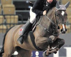 broodmare Zarin 43 (Holsteiner, 2007, from Clarence C)