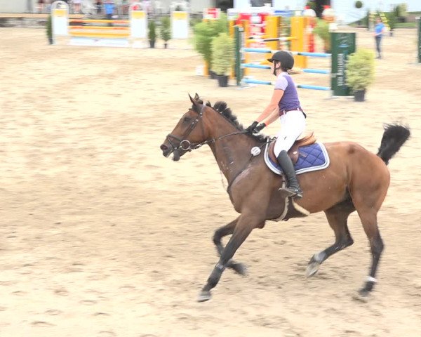 Reitturnier Humlikon 2019