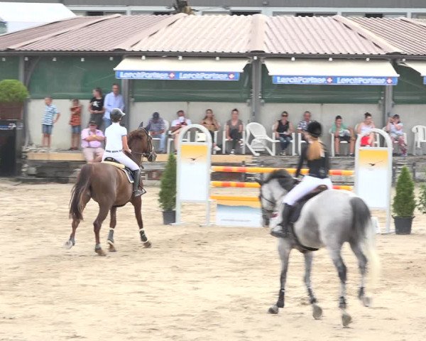Reitturnier Humlikon 2019