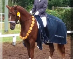 broodmare Lady (German Sport Horse, 2011, from Lord Loxley I)