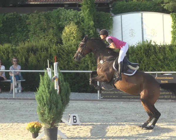 Reitturnier Durmersheim-Hardt 2019