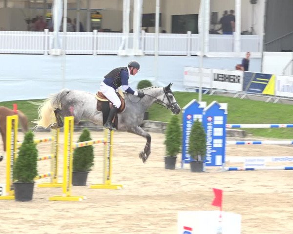 Reitturnier Humlikon 2019