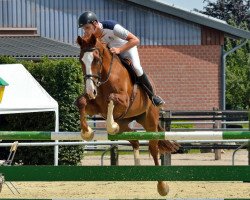 jumper Loopine (Hanoverian, 2009, from Ludwigs As)