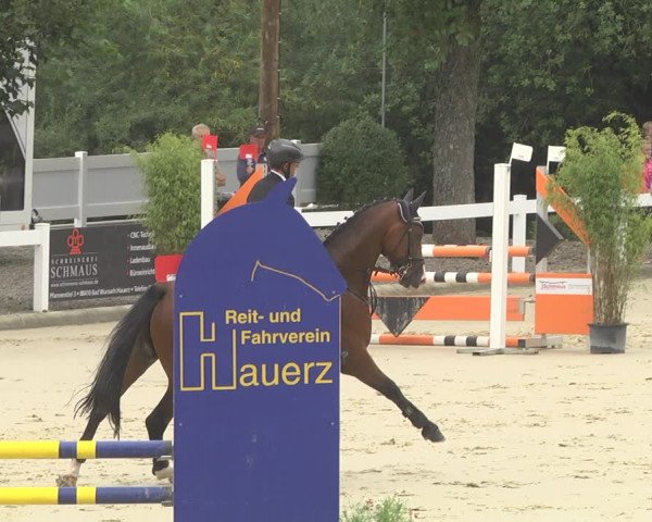 Reitturnier Hauerz 2019