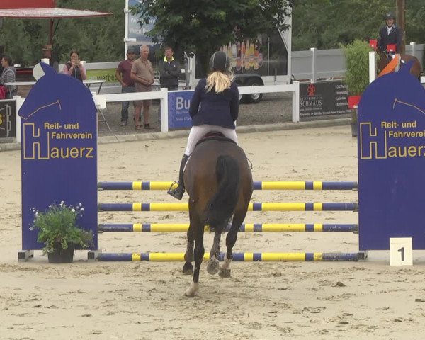 Reitturnier Hauerz 2019