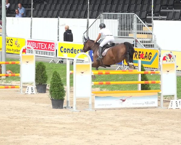 Reitturnier Humlikon 2019