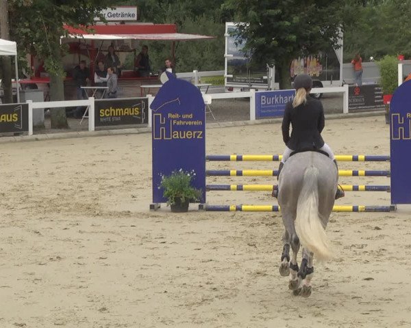 Reitturnier Hauerz 2019