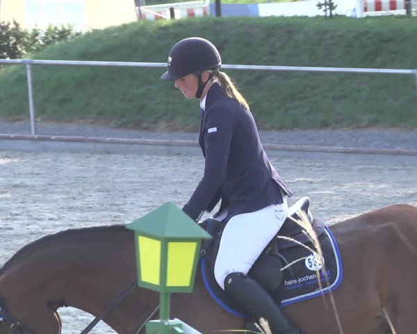 Reitturnier Durmersheim-Hardt 2019