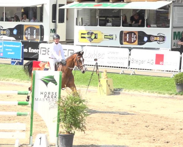 Reitturnier Humlikon 2019