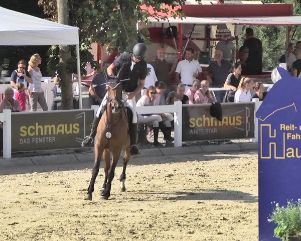Reitturnier Hauerz 2019