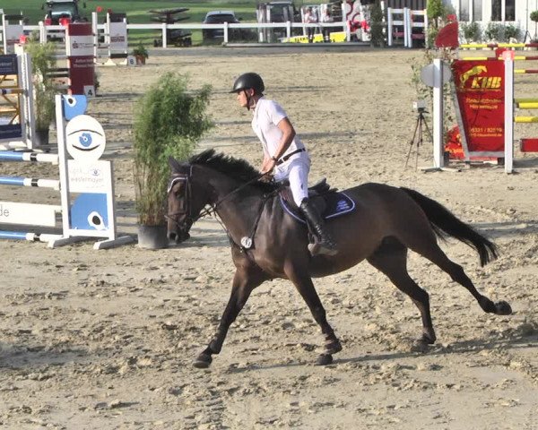 Reitturnier Hauerz 2019