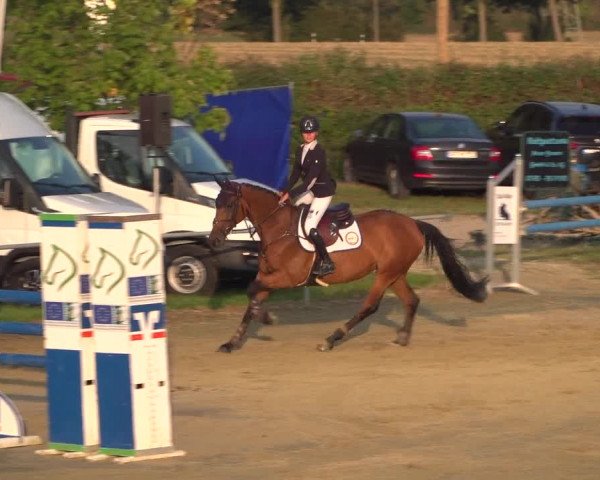 Reitturnier Heinsberg 2019