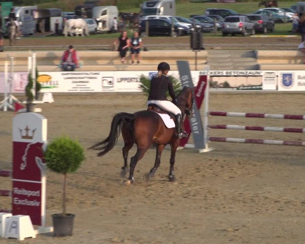 Reitturnier Heinsberg 2019