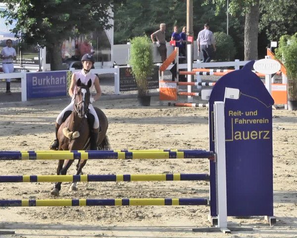 Reitturnier Hauerz 2019