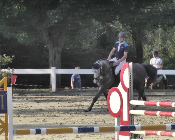 Reitturnier Hauerz 2019