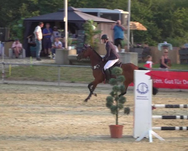 Reitturnier Heinsberg 2019