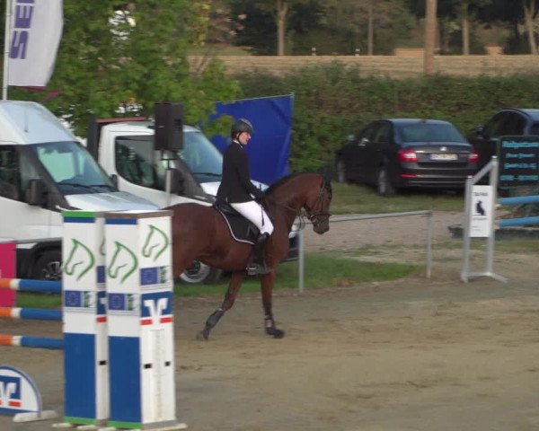 Reitturnier Heinsberg 2019