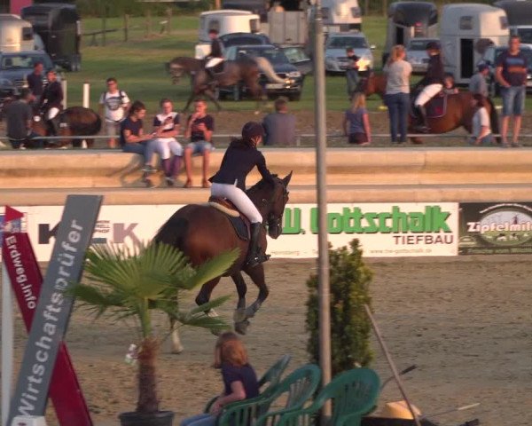 Reitturnier Heinsberg 2019