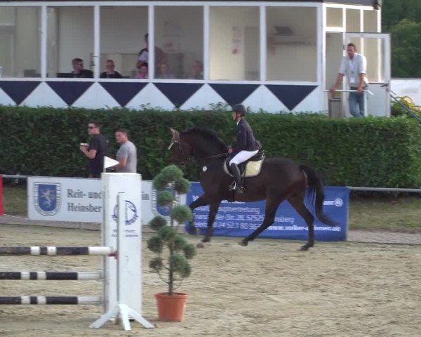 Reitturnier Heinsberg 2019