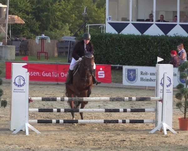 Reitturnier Heinsberg 2019