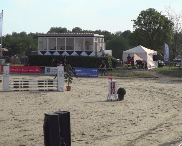 Reitturnier Heinsberg 2019